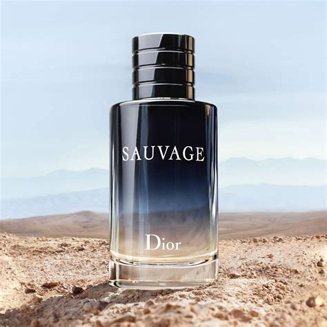 dior sauvage profumi simili|dior sauvage vs ysl.